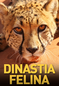 Dinastia Felina (Dinastia Felina)
