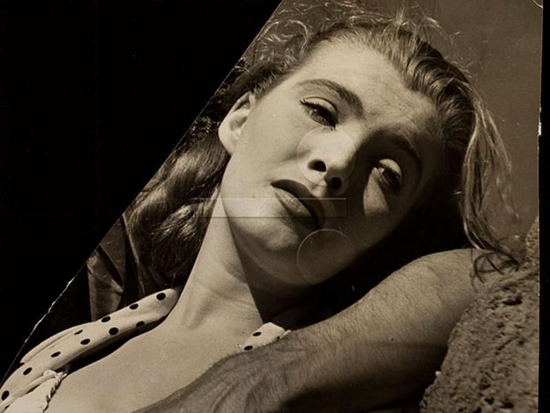 Foto 1 de Caminhos do Sul 