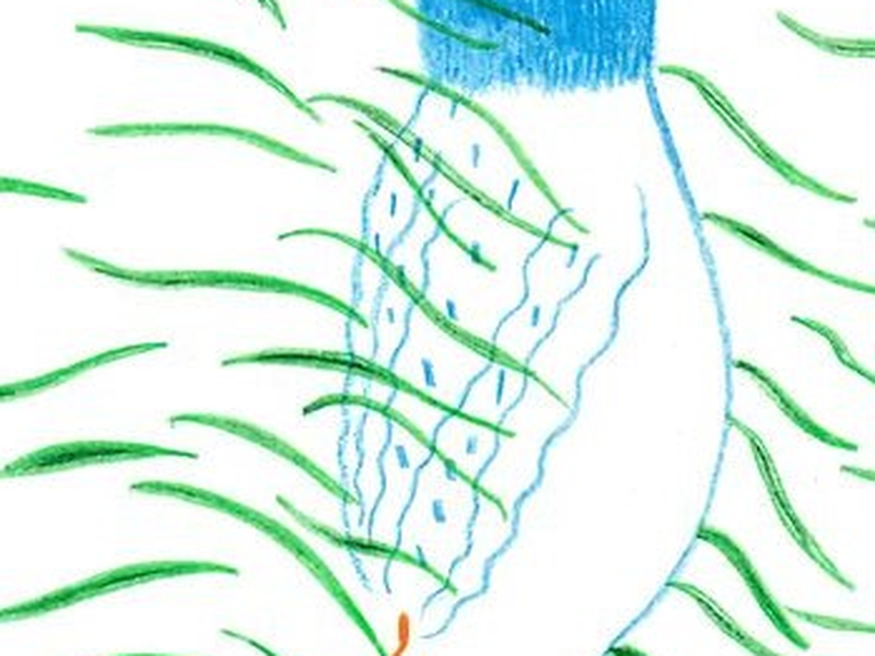 Foto 1 de Autour du lac