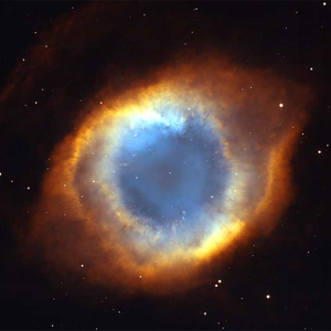 Foto de perfil de Bóson de Higgs