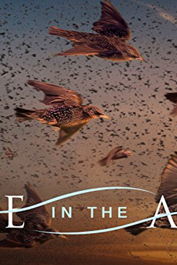  de Série A Vida no Ar (2016)