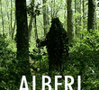 Alberi