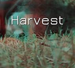 Harvest