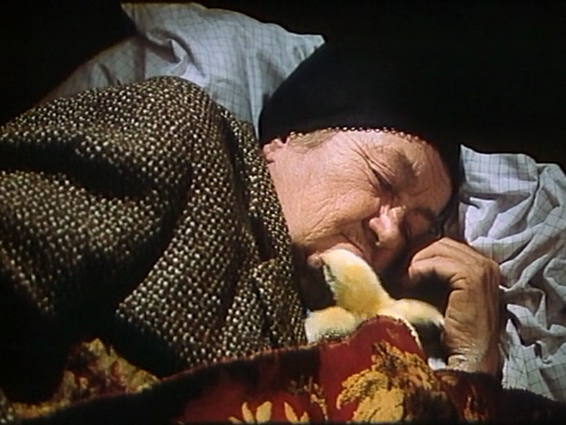 Foto 4 de Ilusões de Órbita