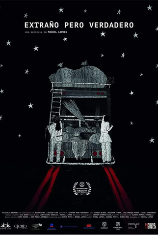 Poster 1 de Filme Strange But True (2017)