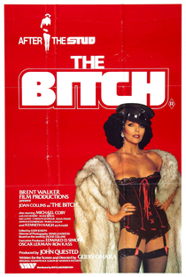 The Bitch - Poster / Capa / Cartaz - Oficial 1