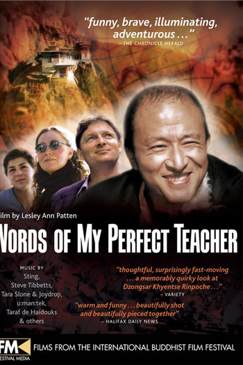 Poster de Filme Palavras do meu professor perfeito (2003)