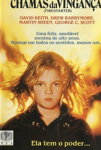 Poster 2 de Filme Chamas da Vingança (1984)