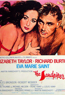 Adeus às Ilusões (The Sandpiper)