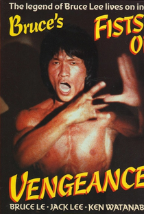 O Segredo de Bruce Lee - Poster / Capa / Cartaz - Oficial 5