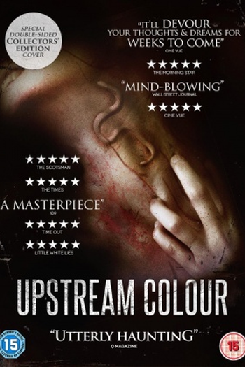  de Filme Cores do Destino (2013)