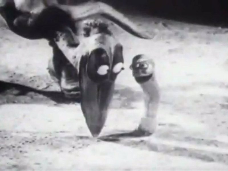 Foto 1 de It's a Bird