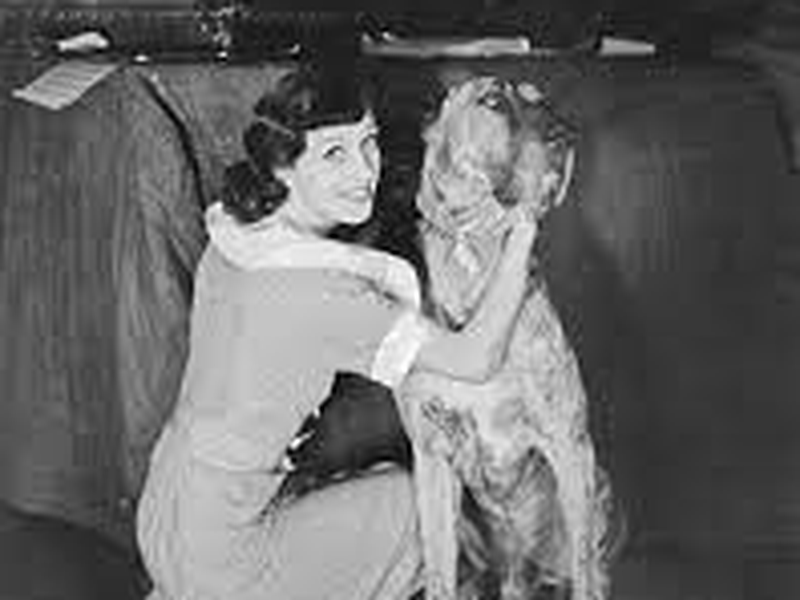 Foto 5 de Álibi da Meia Noite