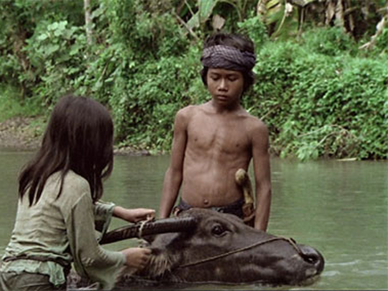 Foto 8 de Max Havelaar 