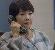 13회