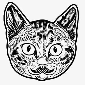 Foto de perfil de Fränk