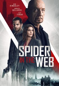 Aranha na Teia (Spider in the Web)