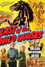 Desfiladeiro da Morte (Last of the Wild Horses)