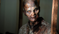 GARGALHANDO POR DENTRO: Notícia | AMC Divulga Novas Imagens Do Episódio 1x03 de Walking Dead