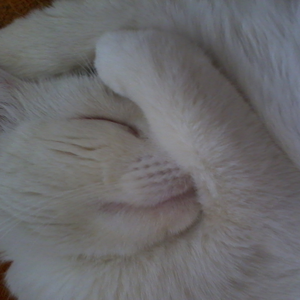 Foto de perfil de Ruth