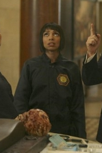 Poster de Episódio The Crack in the Code (2012)