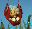 Flying Lessons