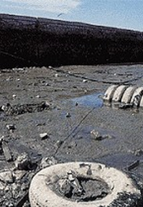Contaminação das águas (Contaminação das águas)