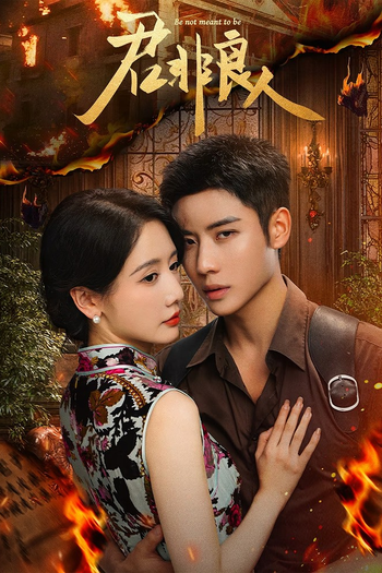 Poster de Franquia 君非良人 (None)