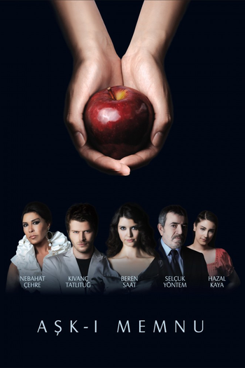 Poster de Franquia Aşk-ı Memnu (2008) (2008)
