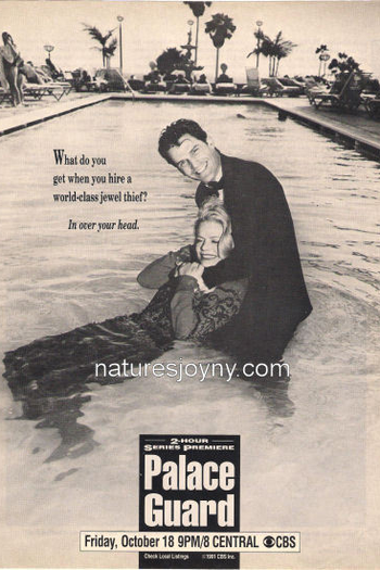 Poster de Série Pega Ladrão (1991)