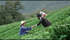Shalom Taiwan (Trailer)
