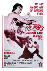 Bruce and Shaolin Kung Fu (Da mo tie zhi gong )
