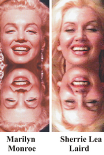 Sherrie Lea Laird vs Marilyn Monroe - Poster / Capa / Cartaz - Oficial 1