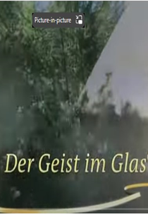 O genio no vidro (der geist im glas)