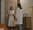 13회