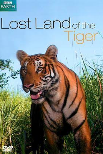 Poster de Série O Tigre Siberiano (2010)