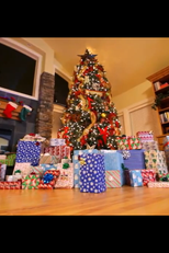 Puppy Christmas (Puppy Christmas)