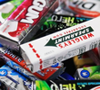 Gum Masters