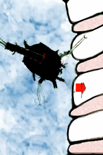 Poster de Curta Reduction (2011)