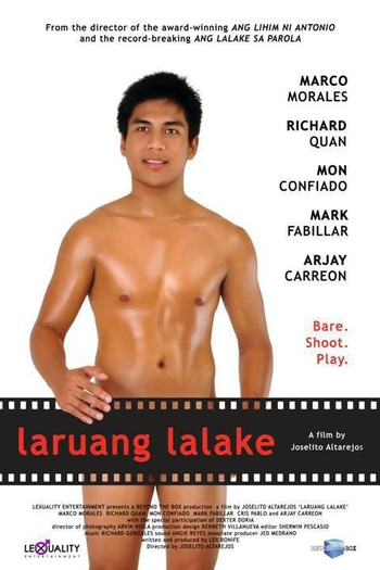 Poster de Filme Boy Toys (2010)