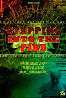 Stepping Into the Fire - Poster / Capa / Cartaz - Oficial 2
