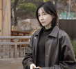 13회