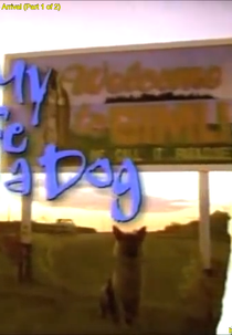 Minha Vida de Cachorro (My Life As A Dog)