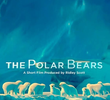 The Polar Bears