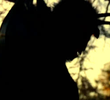The Jersey Devil
