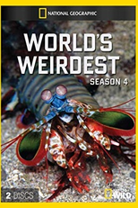 Comportamentos Bizarros (4ª Temporada) (World's Weirdest (Season 4))