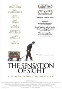 The Sensation of Sight (The Sensation of Sight)