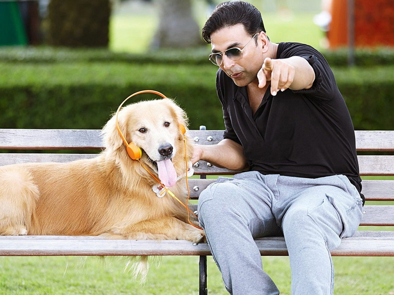 Foto 30 de Entertainment