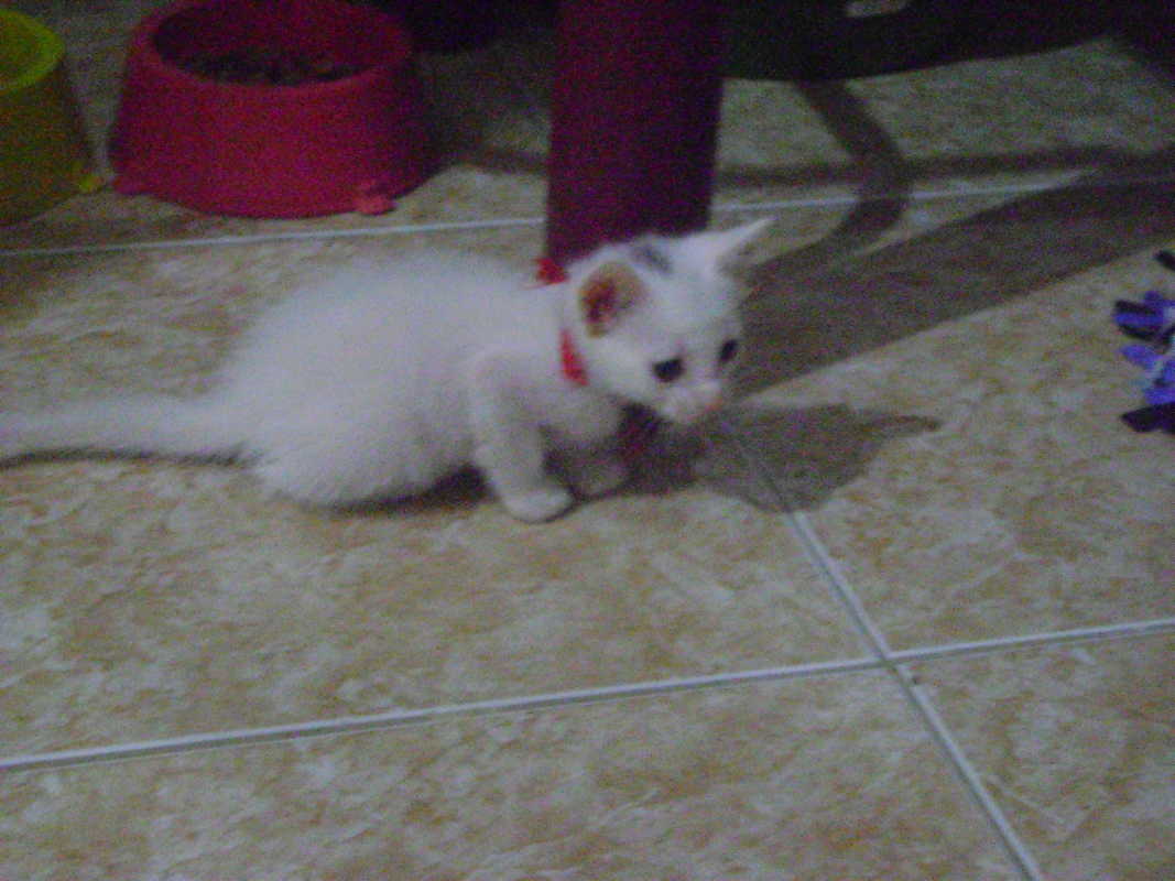May Rocha - Foto 1