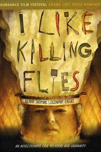Poster de Filme I Like Killing Flies (2004)